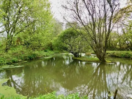 Set in the Normandy countryside, with many tourist attractions within 30 minutes Отели в г. Манш