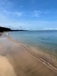 Thistledown Lodge - Beach
