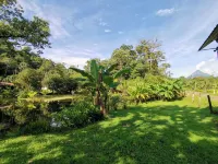 Ceiba Pond Home Rental - The Jungle Villa