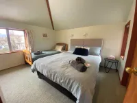 Entire house with tranquil garden, cosy and private, by the river