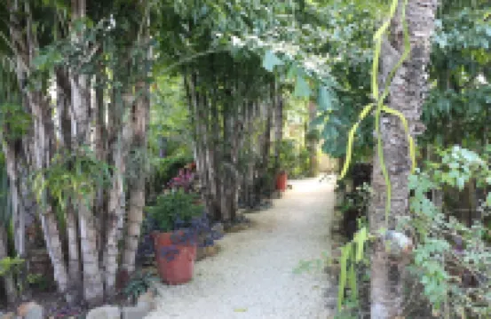 Paradise Found!  Beautiful Private Villa On The Sea in the Village of Placencia!