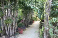 Paradise Found!  Beautiful Private Villa On The Sea in the Village of Placencia! Hotels in 