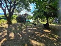 CHARMING HOUSE WITH PRIVATE POOL Plage de Calzarellu附近的飯店