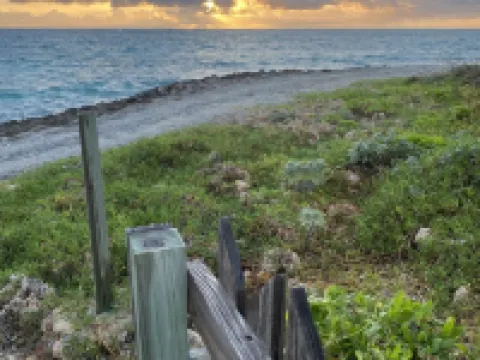 Pa Willie’s - Locally owned historic cottage conveniently located with dock. Hotels in Elbow Cay