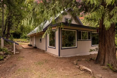 Gorgeous 2BR cabin on secluded lot minutes from Hood Canal activities