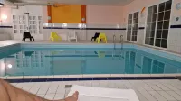Tous en Français pour Vous