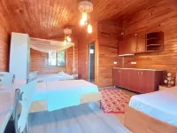 츠랄리 플로라 펜션