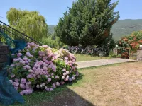 Hotel Spiridoula Hotels in 