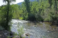Four Seasons Lodge Hotels in South Fork