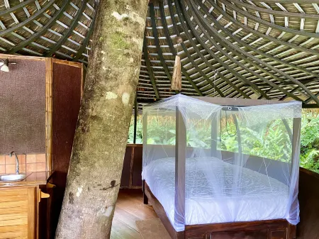 Cabanas Rio Encantado