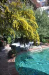 El Vino Hotel & Suites - Pools