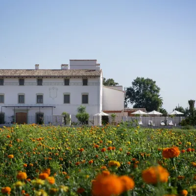 La Mozaira Hotels near Poblats Maritims