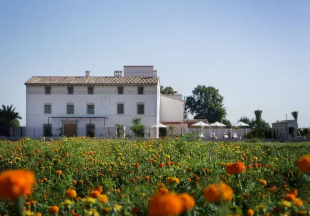 La Mozaira Отели в г. Port Saplaya