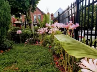 1812 Overture B&B Hoteles en Municipio de Kaw