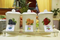 Hotel Katy Hotels in Viareggio