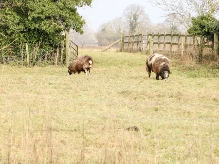 Wensum Spring Отели в г. Уиссонсетт