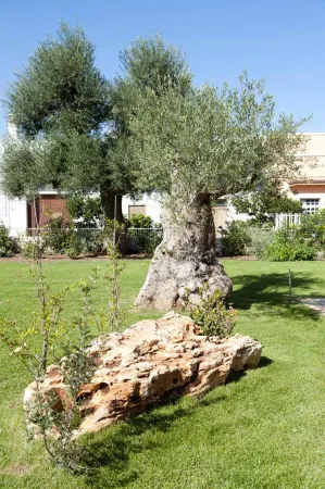 Donna Lucrezia Отели в г. Torre Canne