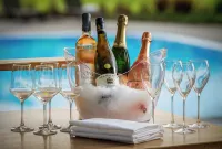 Fletcher Parkhotel De Wiemsel - bar