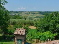 La Murata