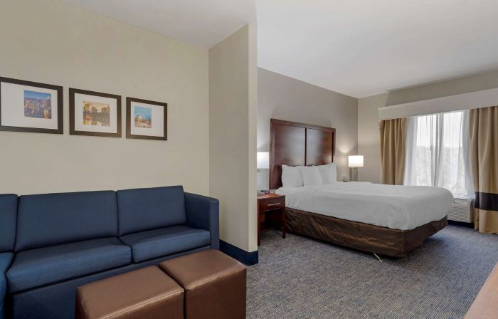 Comfort Suites Stockbridge Atlanta South