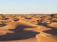 Bivouac Joudour Sahara فنادق في محاميد الغزلان