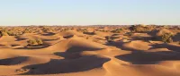 Bivouac Joudour Sahara