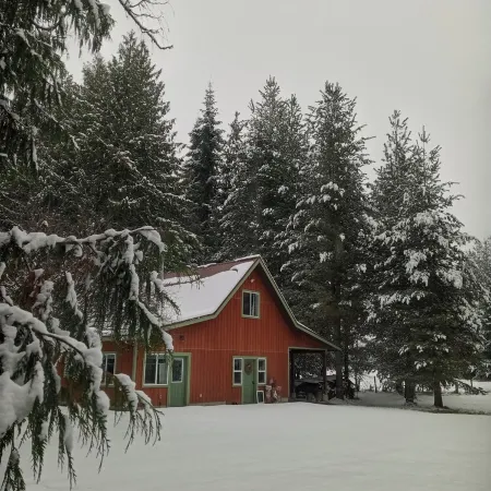Little house in the woods, close to the lake,town and mountain.