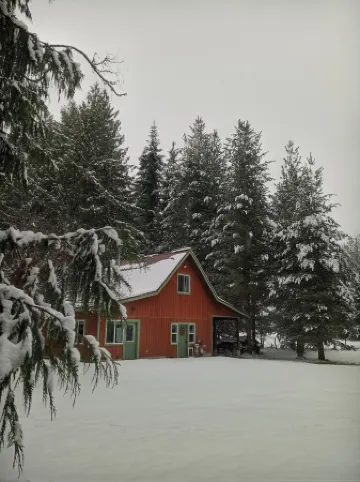 Little house in the woods, close to the lake,town and mountain.