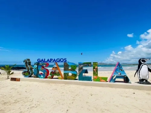 Galápagos Isabela Hotel Loja Hotels in Isabela