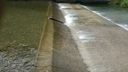 Hongcheon Wellbeing in Forest Hwangto Pension