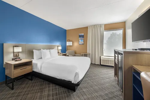 Comfort Inn Downtown Hotels in Rossville