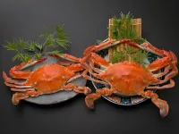 Ryokan Tsurusou Hotels in Tara