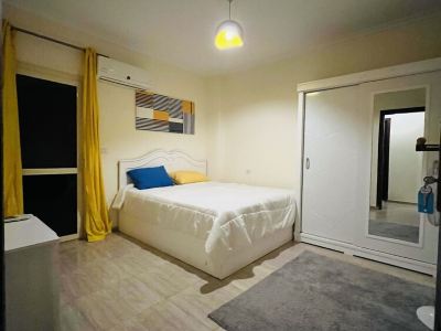 Modern entire apartment in downtown Sheikh Zayed