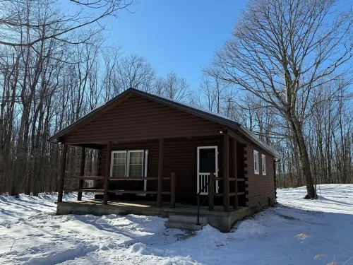 Mountain-Top Cabin: A Secluded Escape in the Heart of the Laurel Highlands
