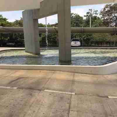 Pinares de Santo Domingo Others
