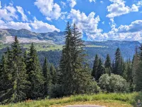 Large apartment, 50m2, 2 bedrooms.