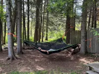 Hot Tub, Relaxing Hammock under the trees, Fire pit, BBQ, surrounded by nature