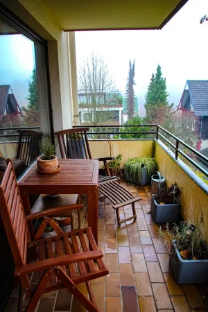 Vacation apartment in the southern Harz - Bad Sachsa - for families and dog owners