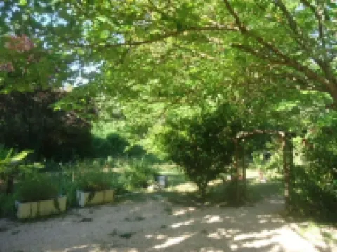 In a forest, in a haven of greenery with private swimming pool.