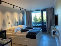 Black Forest apartment Kniebis Hotels in Kniebis