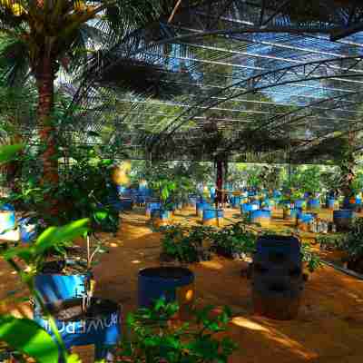 Reecha Kurinji Resort Hotel Exterior