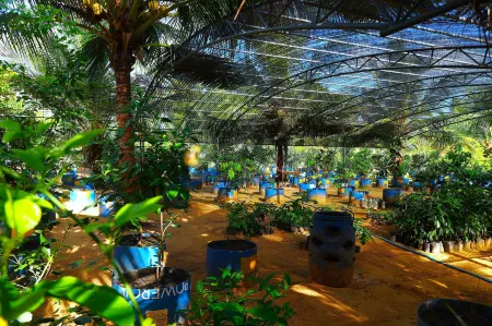 Reecha Kurinji Resort Отели в г. Pachchilapalli