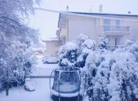 Garden view apartment