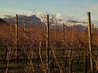 Le Fraghe Rondinella apartment Hotel a Cavaion Veronese