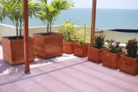 Pacific Paradise at Same Beach, Ecuador. Beach front penthouse Hotels in Same