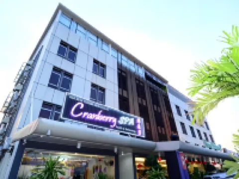 努薩CT酒店 振林山酒店