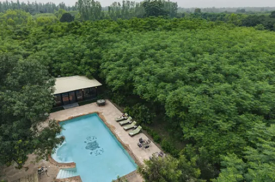 Aalia Jungle Retreat and Spa, Bandarjudh, Haridwar - Araiya Anthology