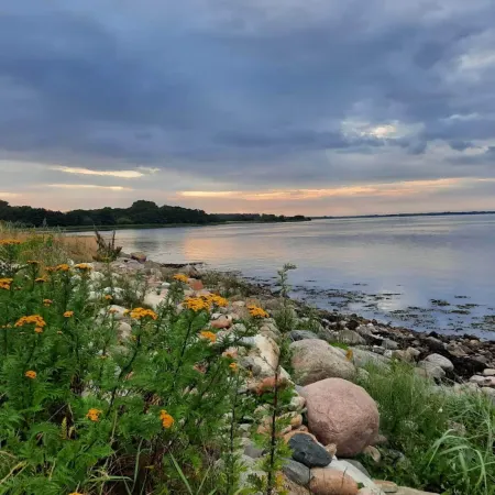 4 star holiday home in Haderslev