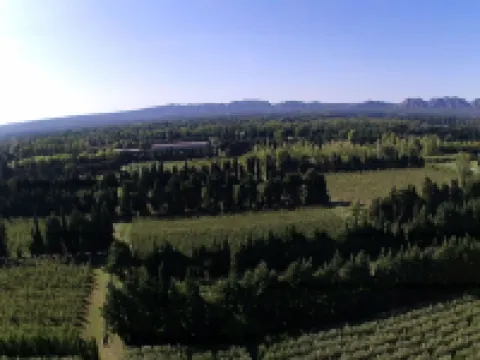 Camargue Modern retreat Hotels in Cavaillon