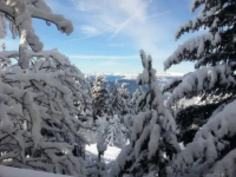 Cozy Alpine Chalet Escape for Two Hotels in Chamrousse